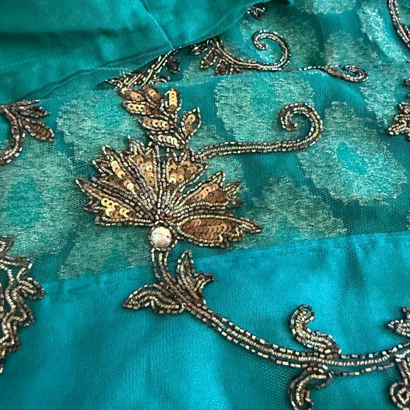 Frontier Green and Gold Saree with hand embroidery - Picture 16 of 17